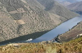 Quinta Alto da Fraga - Foto 46