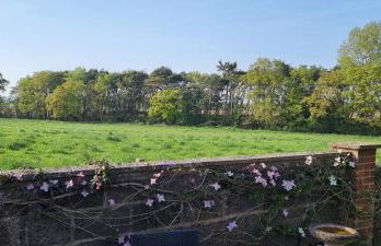 Begonia Cottage - Foto 27