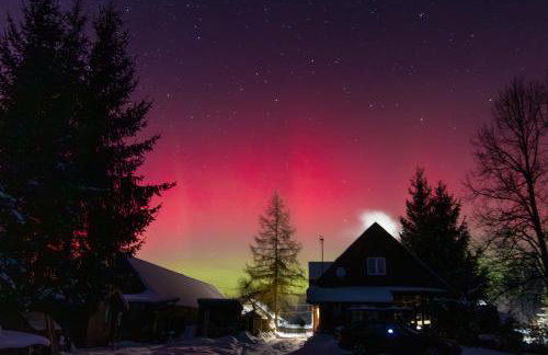 Pod Modrzewiem - Foto 2