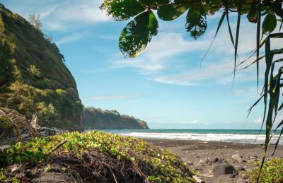 Hale Makani - Foto 29