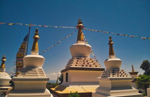 Experience the Rural Spain With Wine, Activities and More at Sidro & Co - Foto 94