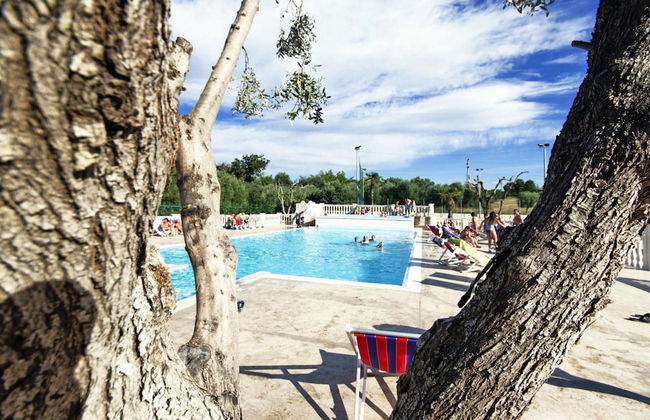 Bungalow in a Resort in Lido del Sole With Terrace - Photo 9