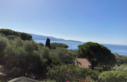 Chez Jean Claude la villa des amis - Foto 59