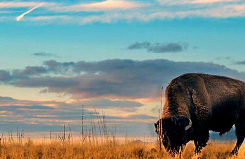 Hidden Gem! Private Guest Home - Photo 28