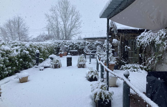 Ballybur lodge Mews 1 - Photo 21