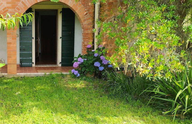 Comfortable House - Garden and Parking - Photo 29