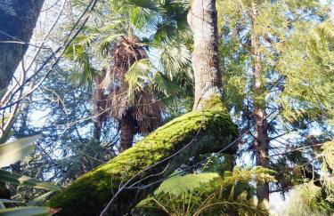 Family Secrets Santo André - Foto 2