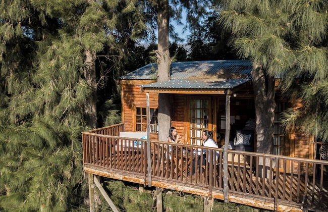 Vindoux Guest Farm and Day Spa - Photo 11