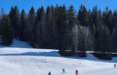 Appartement au pied des pistes, Les jouvencelles - Foto 7