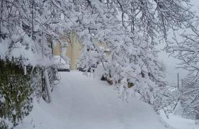 Άγρια Λούλουδα Κατοικία Αρμονία - Photo 59