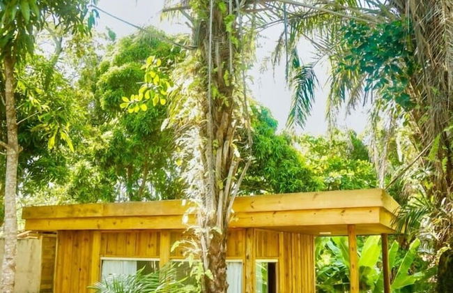 Casa Jequitibá Rosa - Photo 8