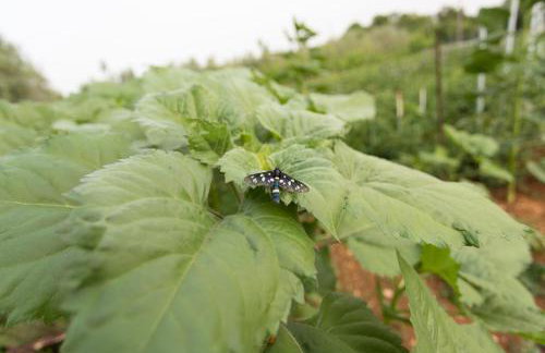 Apartment Danica - Photo 11