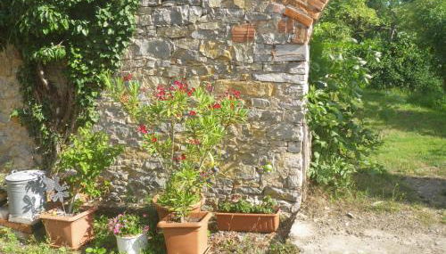 Drahtesel Oase - Foto 2, Garden