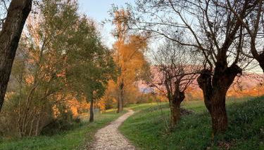 CASA DEL NONNO LEONE - Foto 4