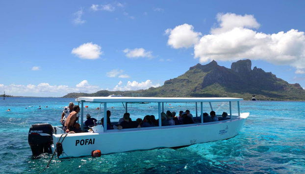 Glass-Bottom Boat Tour - Foto 5
