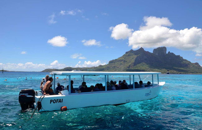 Giro in barca con fondo trasparente - Foto 5