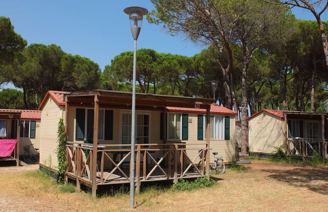 Nice Chalet in Pine Forest near Adriatic Sea - Foto 1