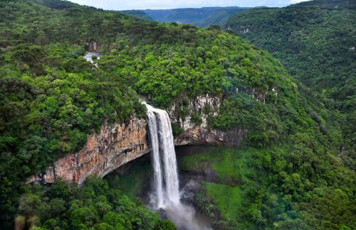 Chalé Temático em Pipa de Vinho - Parada da Pipa Chalés - Foto 65