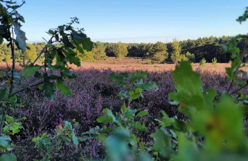Heidehof Kuppendorf - Foto 43