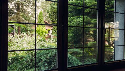 Laspopas - Foto 4, Garden view