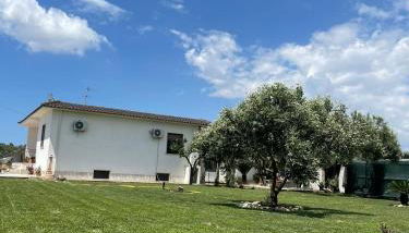 Villa Daniele - Foto 4