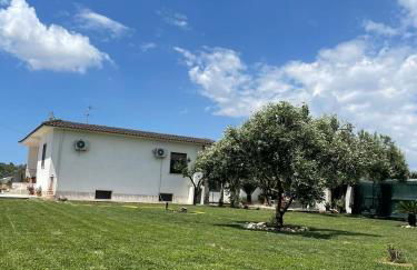 Villa Daniele - Foto 4