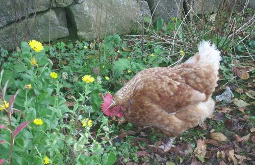 Courtyard Cottage - Foto 32