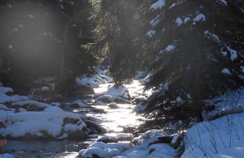 Maison du Grand Assaly - Foto 25
