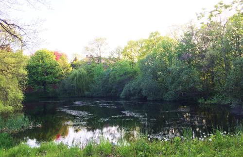 Ferienhaus Biene - Photo 64