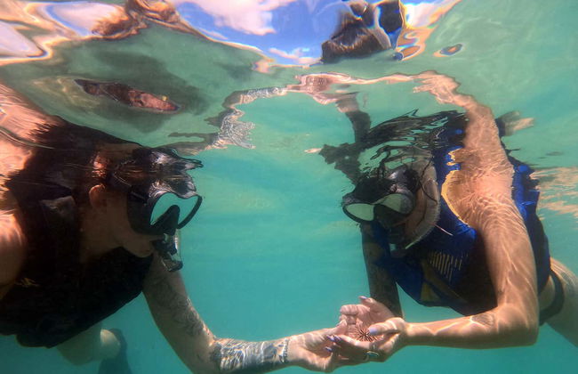 Snorkeling or Diving in Honolulu - Foto 6