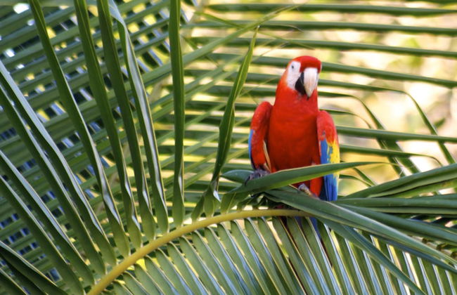 Viva Tambor Villas - Foto 33