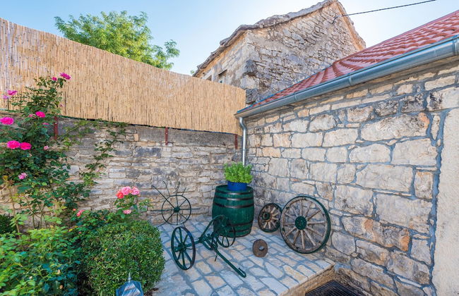 Villa Petrovi Dvori - Foto 36