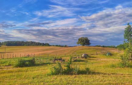 Helle Loft mit eingenem Garten - Photo 20