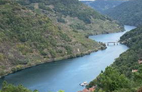 Bodega Sibeiro - Foto 19