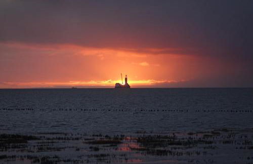 Grüne Düne Meerblick Friedrichskoog Spitze - Foto 27