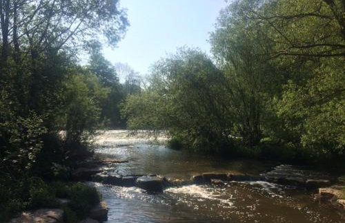 Ferienwohnung Am Stadtpark - Foto 32