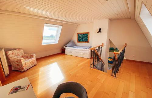 Rheinloft 3 - Große Giebelwohnung mit Dachterrassen an der Rheinpromenade - Foto 19