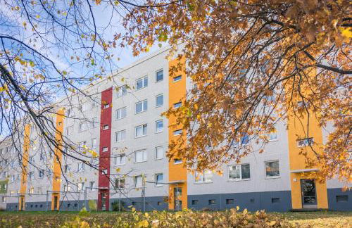 Modernes 3-Raum-Appartement, WLAN - Foto 14