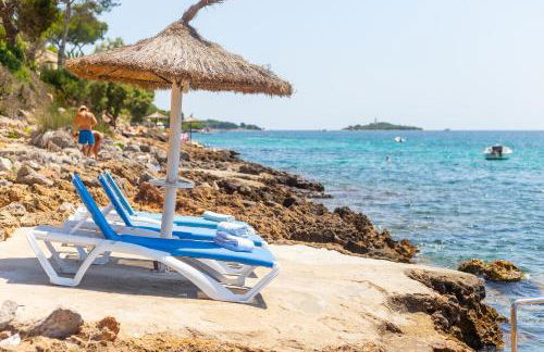 Far alcanada - Foto 15