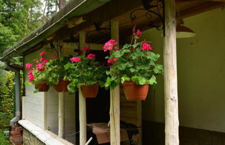 Sulistrowiczki Kwiatowa 3 - Photo 22