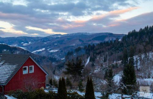 Schwarzwald Stübli - Foto 9