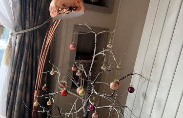 48 Pony Meadow - White Cross Bay - Photo 2