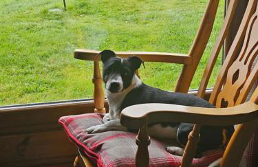 Hillhaven Lodge - Foto 43