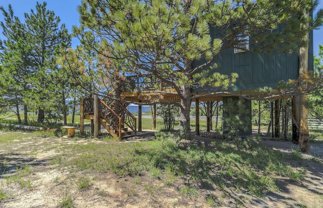 Tree Eagles Nest - Foto 30