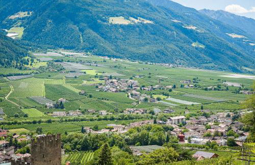 Residence Hochwart ***S - Photo 37