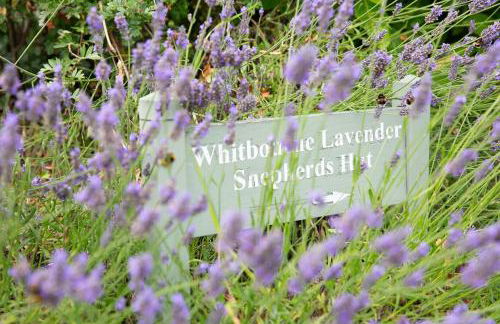 Whitbourne farm - Foto 27