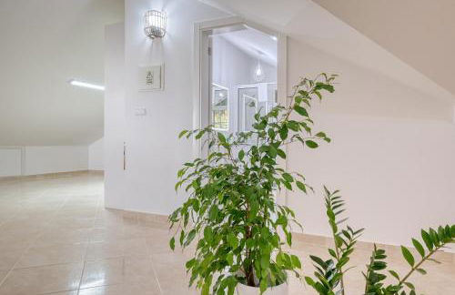 Pôr do Sol, a Home in Madeira - Foto 15