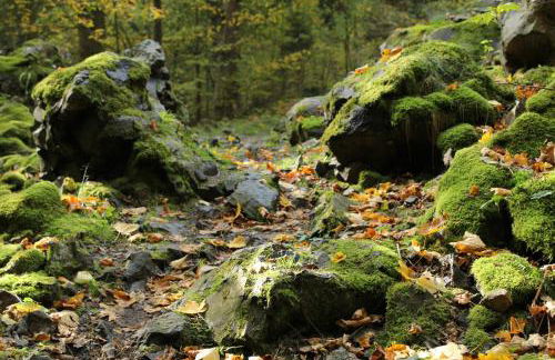 Chalet Alba - Foto 61