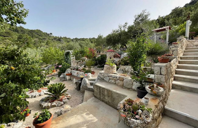 Apartments Leviana - Foto 39