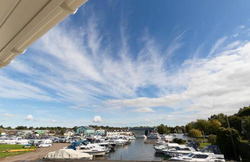 Greylag Goose - Ukc2110 - Photo 1